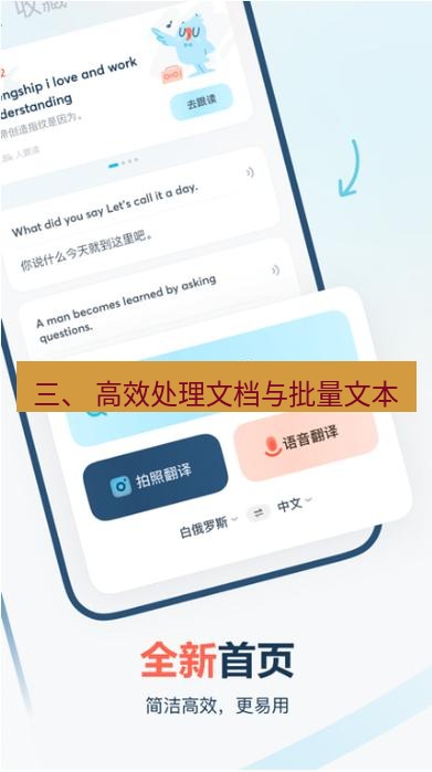 有道翻译官网 三、 高效处理文档与批量文本