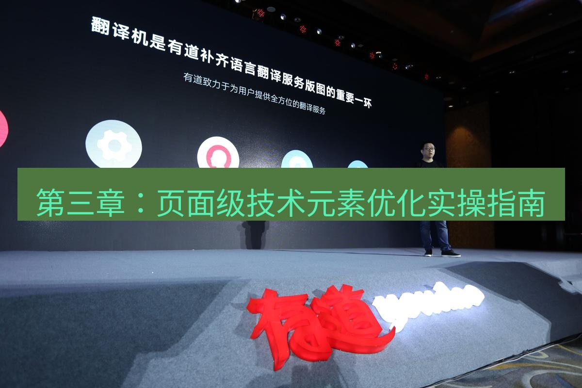 有道翻译官网 第三章：页面级技术元素优化实操指南