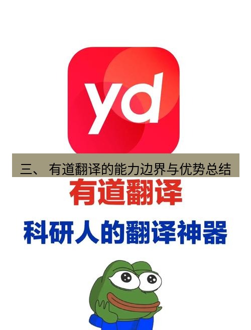 有道翻译官网 三、 有道翻译的能力边界与优势总结