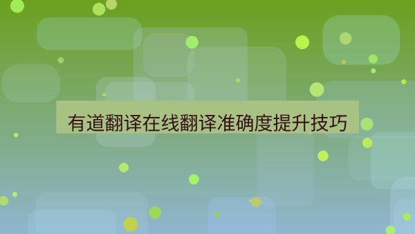 有道翻译在线翻译准确度提升技巧