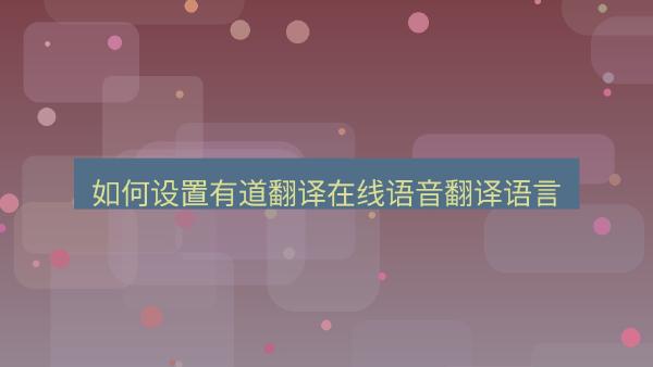 如何设置有道翻译在线语音翻译语言