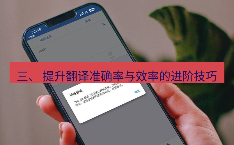 有道翻译官网 三、 提升翻译准确率与效率的进阶技巧