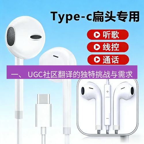 有道翻译官网 一、 UGC社区翻译的独特挑战与需求