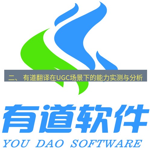 有道翻译官网 二、 有道翻译在UGC场景下的能力实测与分析