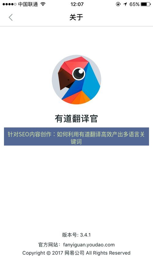 有道翻译官网 针对SEO内容创作：如何利用有道翻译高效产出多语言关键词
