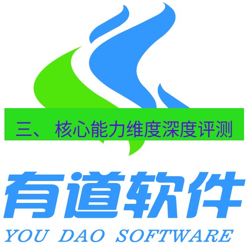 有道翻译官网 三、 核心能力维度深度评测