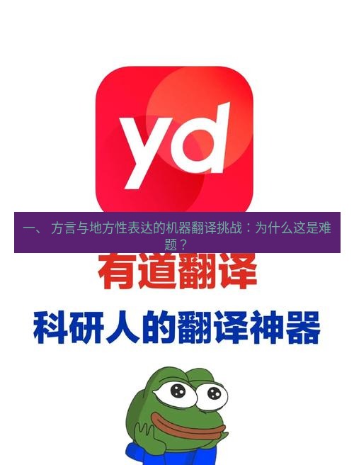 有道翻译官网 一、 方言与地方性表达的机器翻译挑战：为什么这是难题？