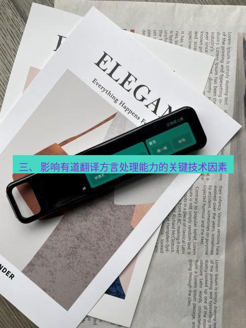 有道翻译官网 三、 影响有道翻译方言处理能力的关键技术因素
