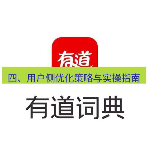 有道翻译官网 四、用户侧优化策略与实操指南