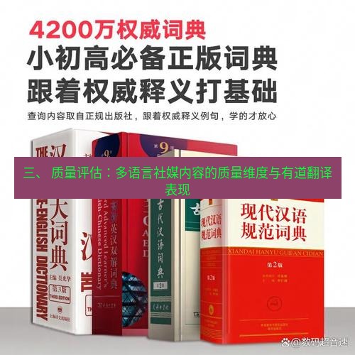 有道翻译官网 三、 质量评估：多语言社媒内容的质量维度与有道翻译表现