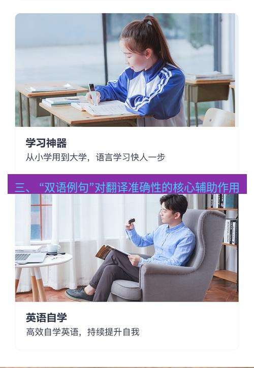 有道翻译官网 三、 “双语例句”对翻译准确性的核心辅助作用