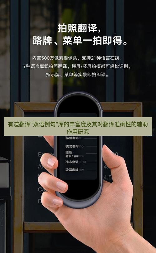 有道翻译官网 有道翻译“双语例句”库的丰富度及其对翻译准确性的辅助作用研究