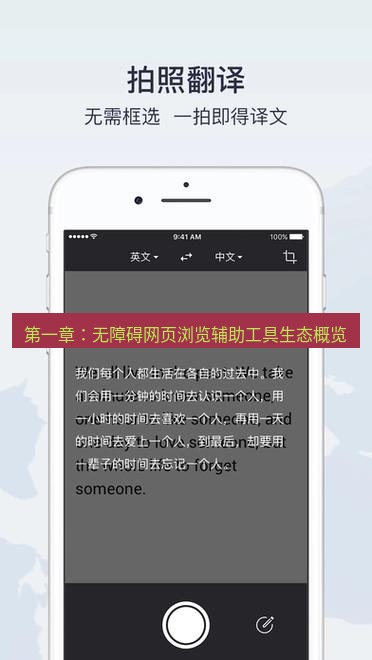 有道翻译官网 第一章：无障碍网页浏览辅助工具生态概览