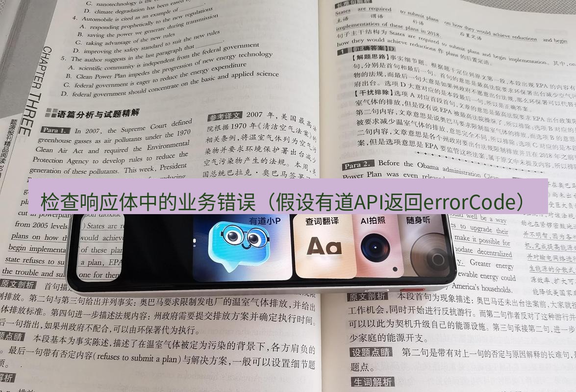 有道翻译官网 检查响应体中的业务错误（假设有道API返回errorCode）