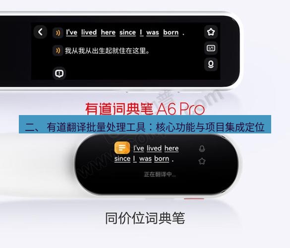 有道翻译官网 二、 有道翻译批量处理工具：核心功能与项目集成定位
