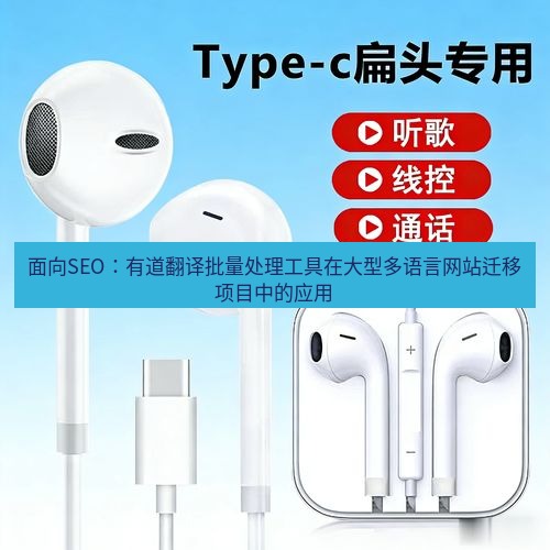 有道翻译官网 面向SEO：有道翻译批量处理工具在大型多语言网站迁移项目中的应用